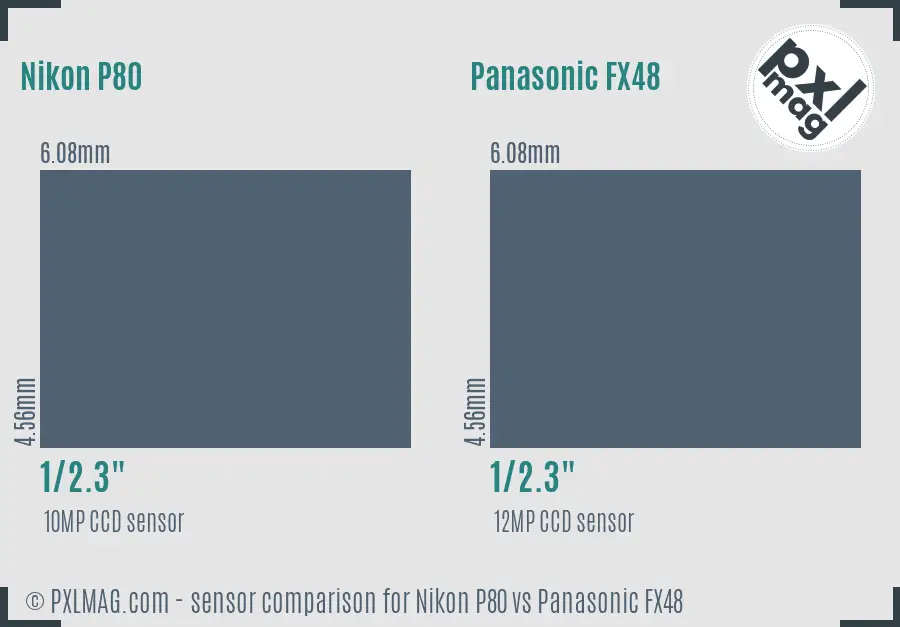 Nikon P80 vs Panasonic FX48 sensor size comparison