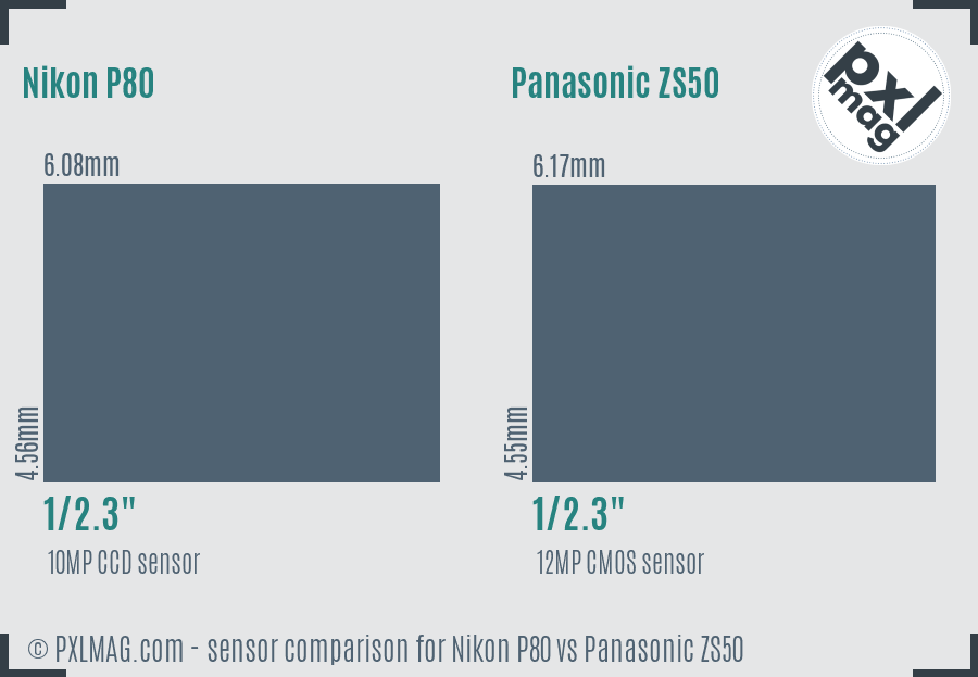 Nikon P80 vs Panasonic ZS50 sensor size comparison