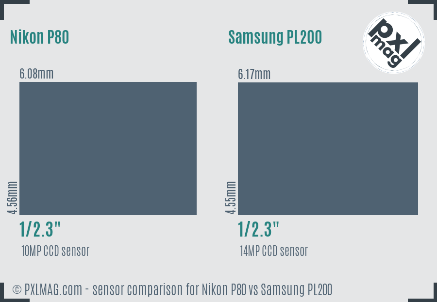 Nikon P80 vs Samsung PL200 sensor size comparison