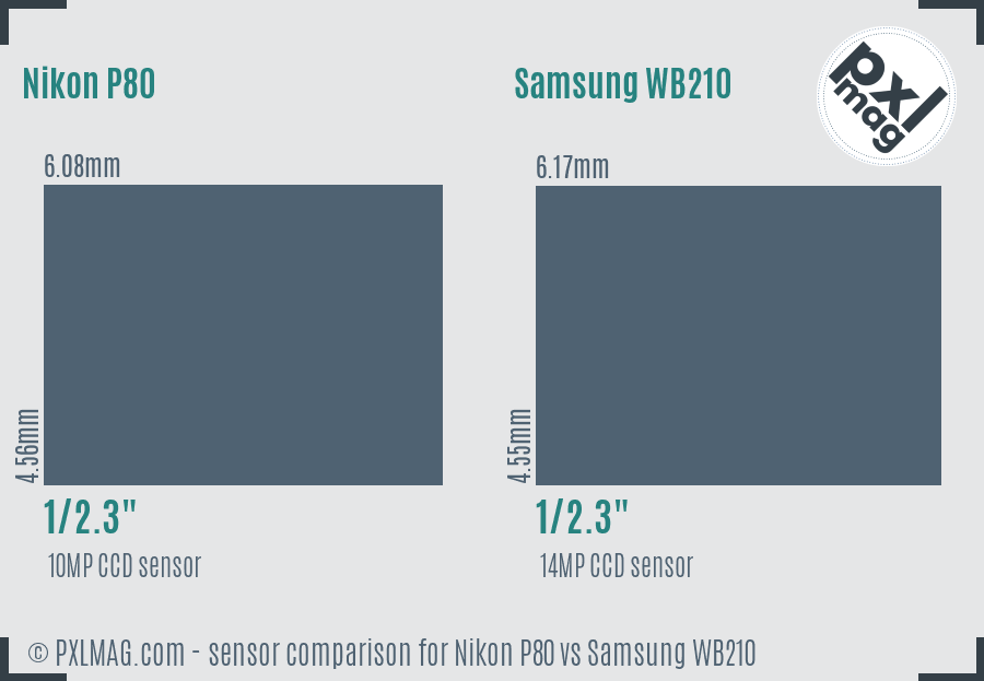 Nikon P80 vs Samsung WB210 sensor size comparison