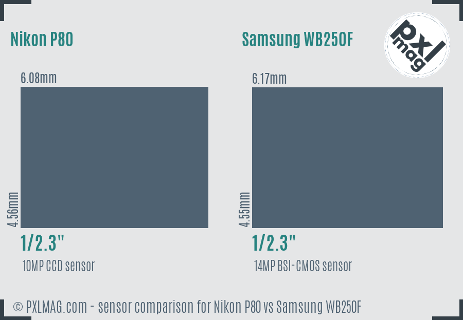 Nikon P80 vs Samsung WB250F sensor size comparison
