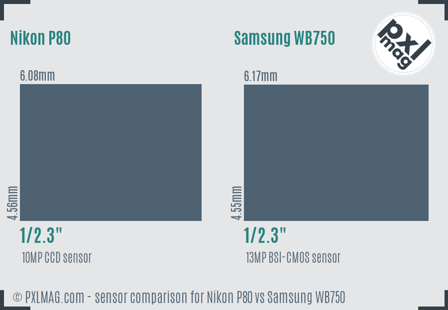 Nikon P80 vs Samsung WB750 sensor size comparison