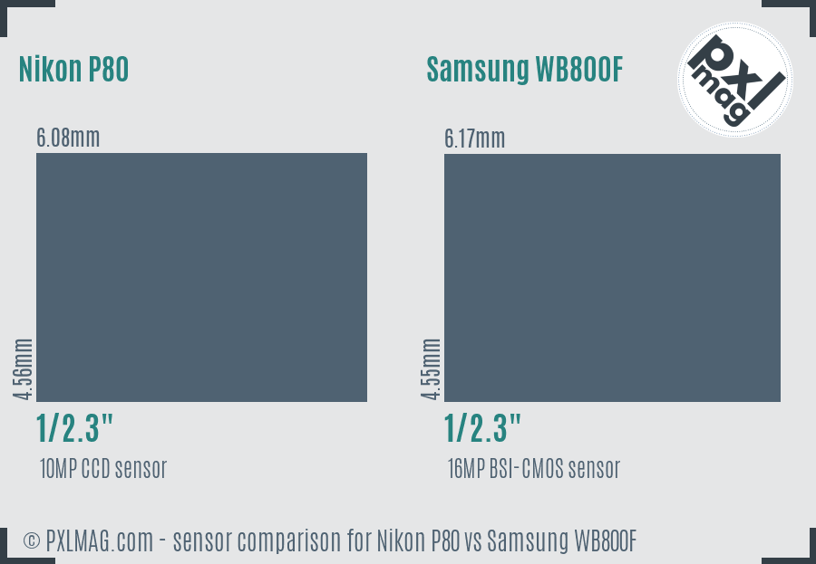 Nikon P80 vs Samsung WB800F sensor size comparison