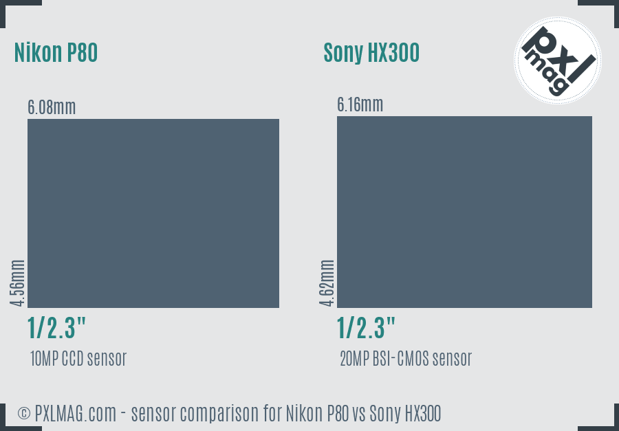 Nikon P80 vs Sony HX300 sensor size comparison Nikon P80 vs Sony HX300 sensor size comparison