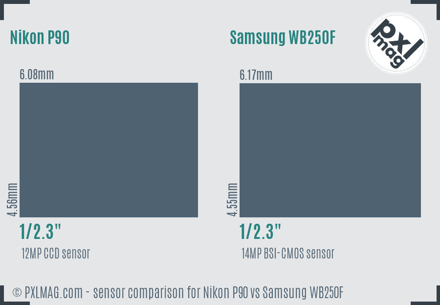 Nikon P90 vs Samsung WB250F sensor size comparison