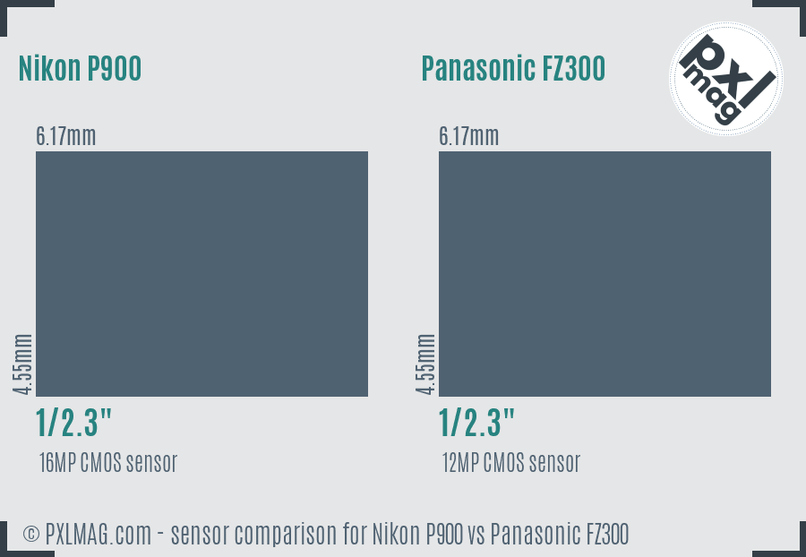 Nikon P900 vs Panasonic FZ300 sensor size comparison