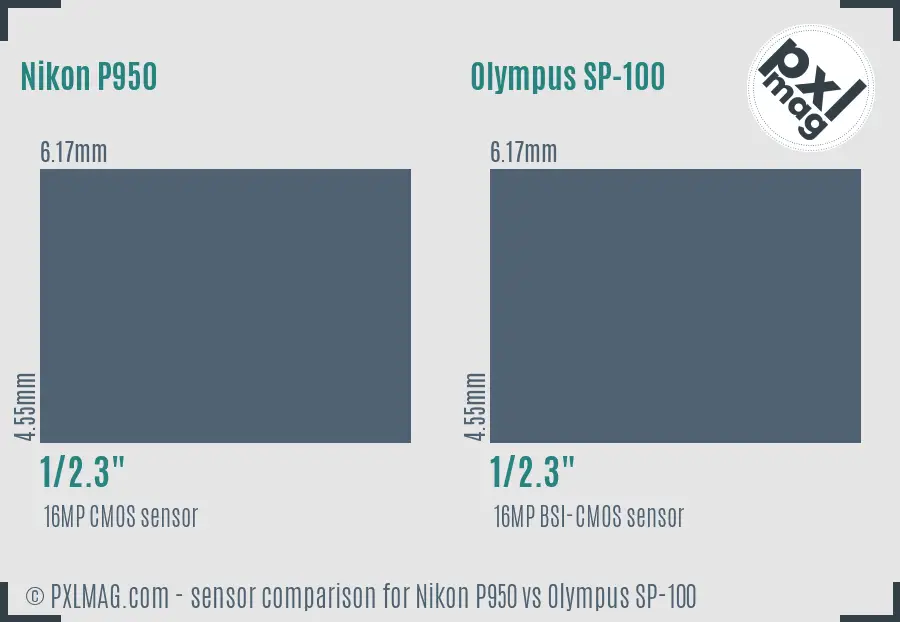 Nikon P950 vs Olympus SP-100 sensor size comparison