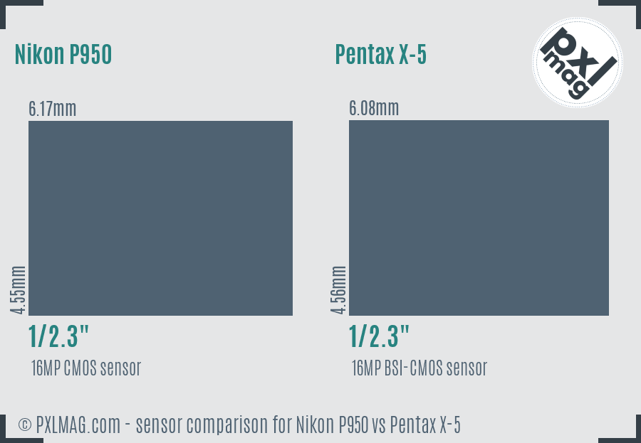 Nikon P950 vs Pentax X-5 sensor size comparison