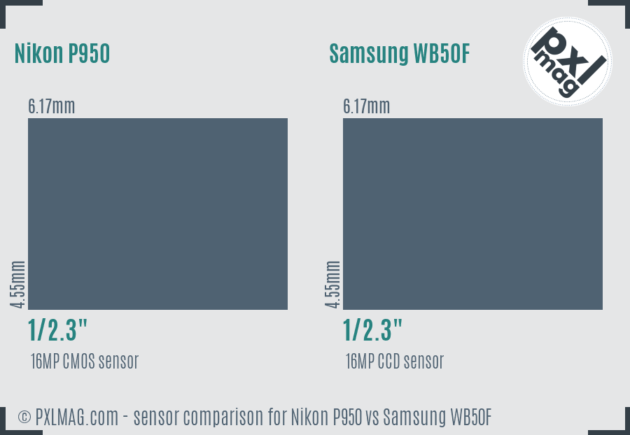 Nikon P950 vs Samsung WB50F sensor size comparison