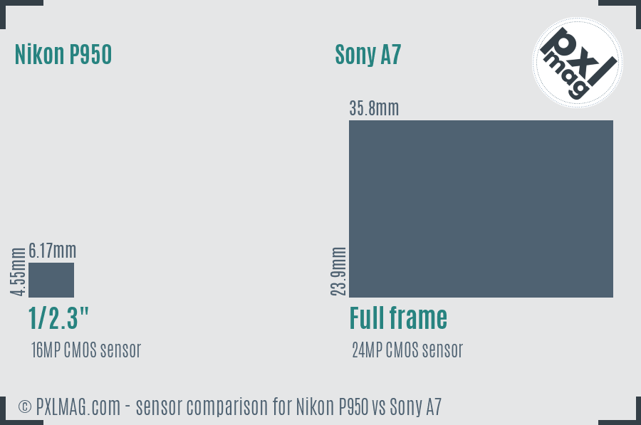 Nikon P950 vs Sony A7 sensor size comparison