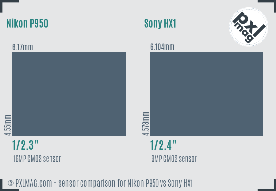 Nikon P950 vs Sony HX1 sensor size comparison