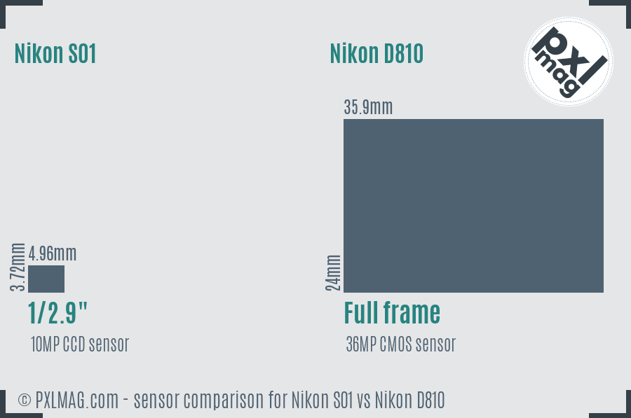 Nikon S01 vs Nikon D810 sensor size comparison