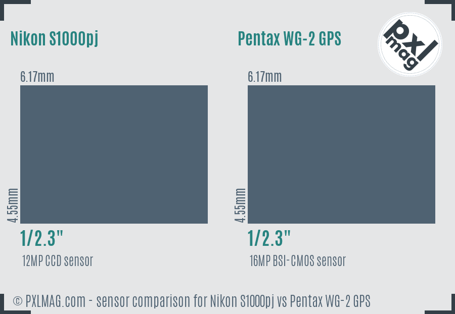 Nikon S1000pj vs Pentax WG-2 GPS sensor size comparison