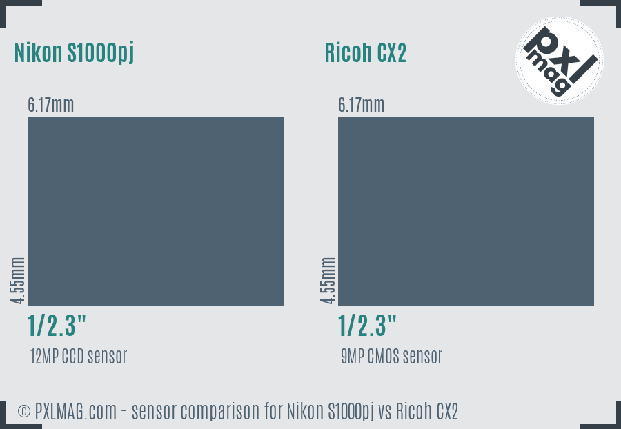 Nikon S1000pj vs Ricoh CX2 sensor size comparison
