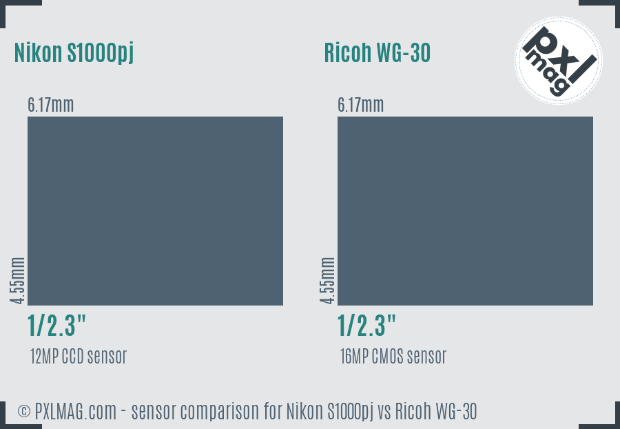 Nikon S1000pj vs Ricoh WG-30 sensor size comparison