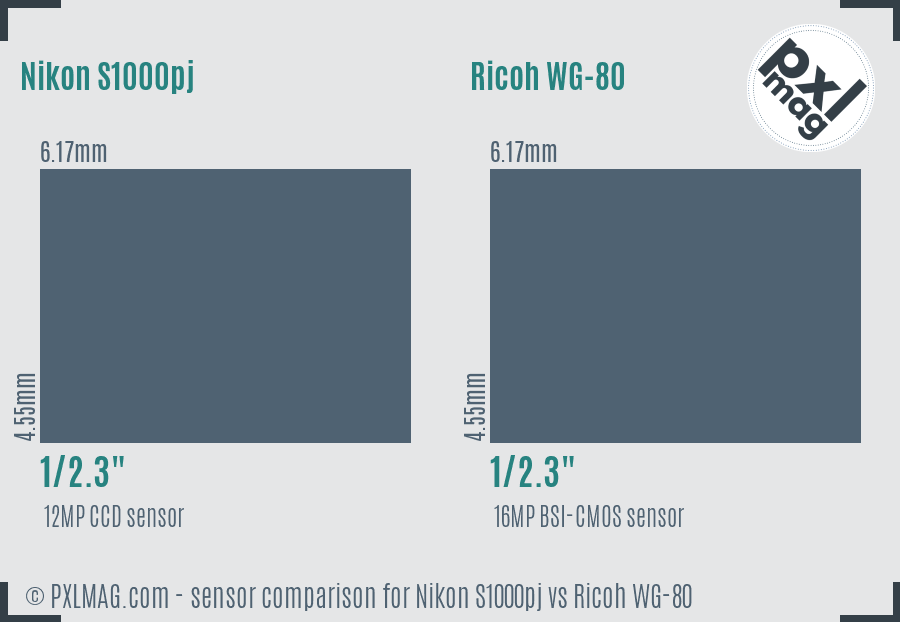 Nikon S1000pj vs Ricoh WG-80 sensor size comparison