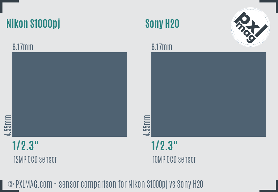 Nikon S1000pj vs Sony H20 sensor size comparison
