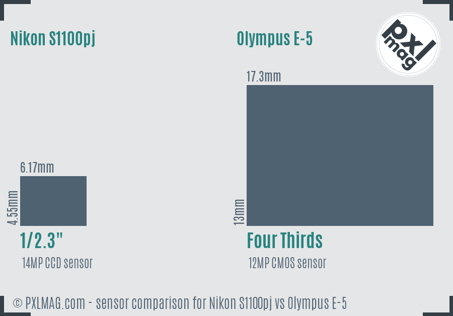 Nikon S1100pj vs Olympus E-5 sensor size comparison