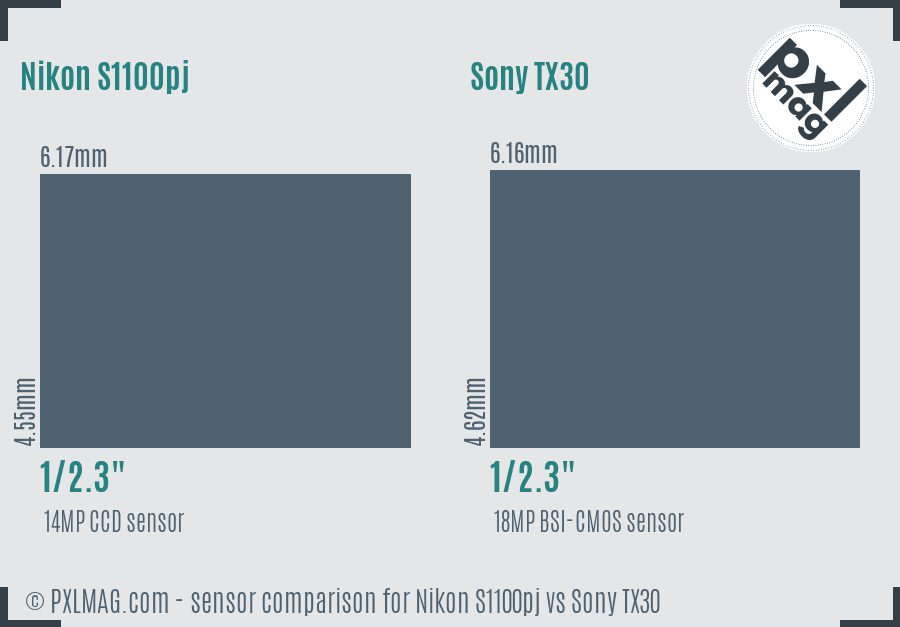 Nikon S1100pj vs Sony TX30 sensor size comparison
