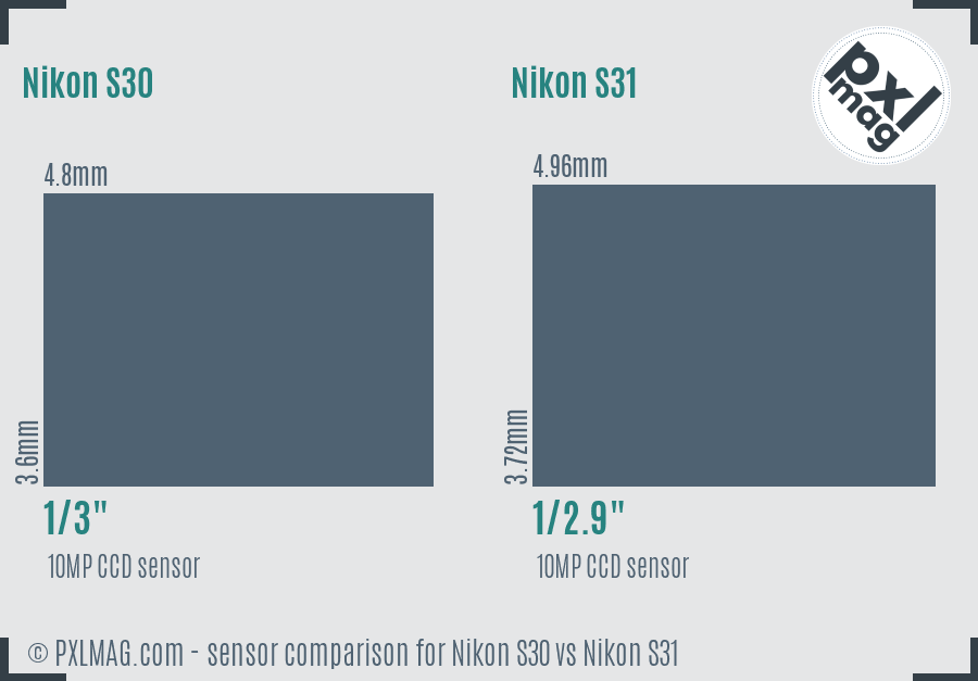 Nikon S30 vs Nikon S31 sensor size comparison Nikon S30 vs Nikon S31 sensor size comparison