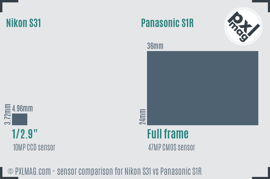 Nikon S31 vs Panasonic S1R sensor size comparison