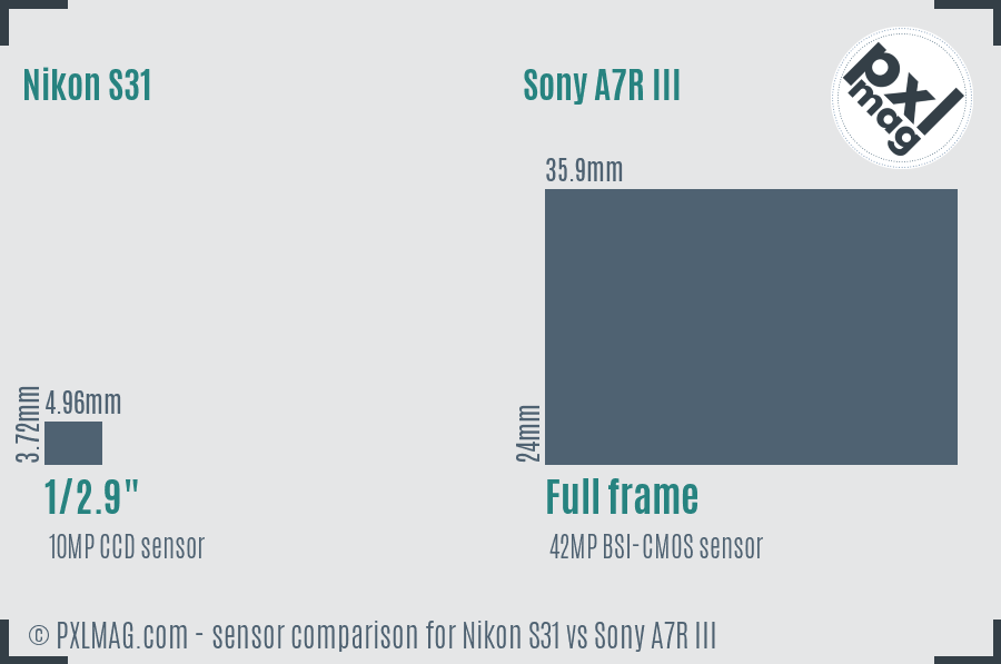Nikon S31 vs Sony A7R III sensor size comparison