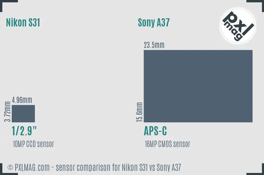 Nikon S31 vs Sony A37 sensor size comparison