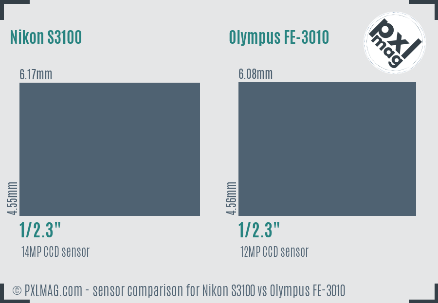 Nikon S3100 vs Olympus FE-3010 sensor size comparison