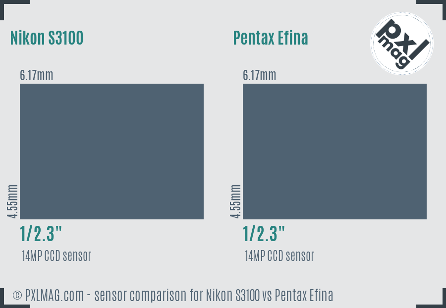 Nikon S3100 vs Pentax Efina sensor size comparison