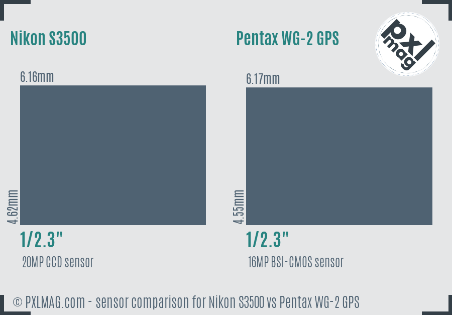 Nikon S3500 vs Pentax WG-2 GPS sensor size comparison Nikon S3500 vs Pentax WG-2 GPS sensor size comparison