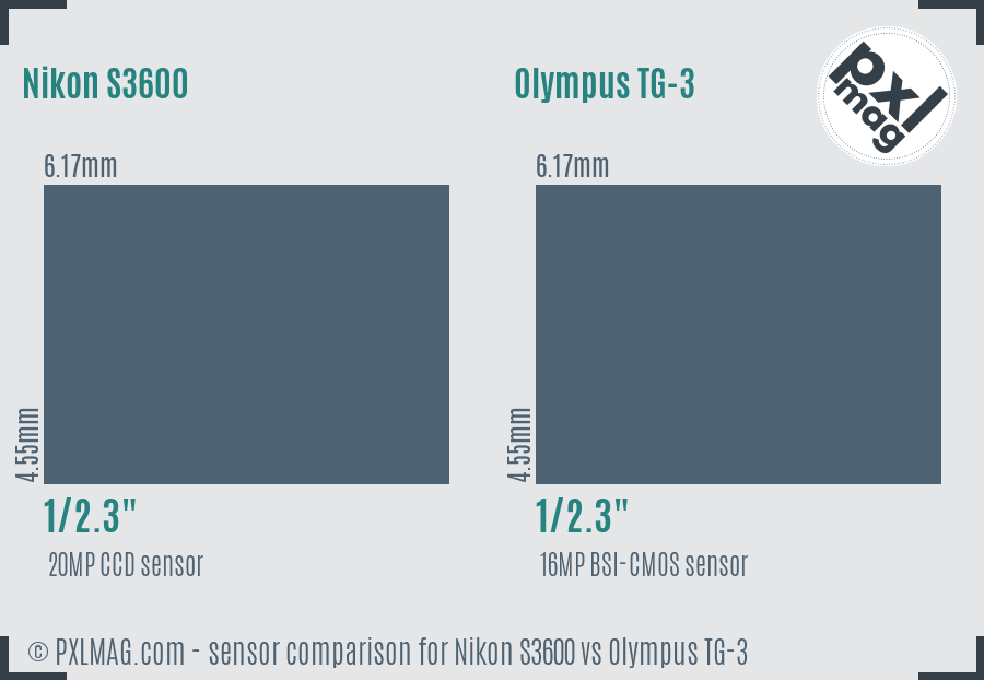 Nikon S3600 vs Olympus TG-3 sensor size comparison