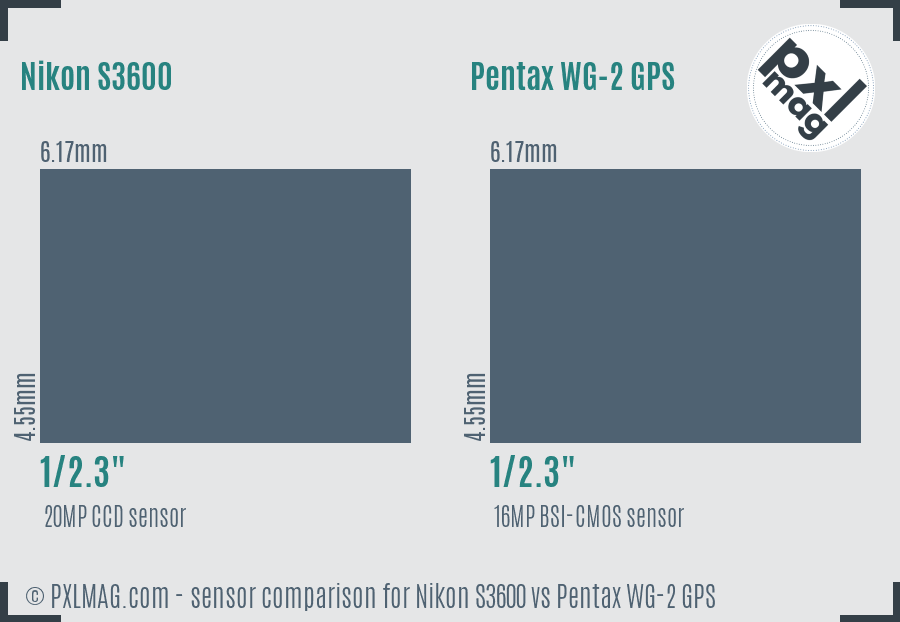 Nikon S3600 vs Pentax WG-2 GPS sensor size comparison