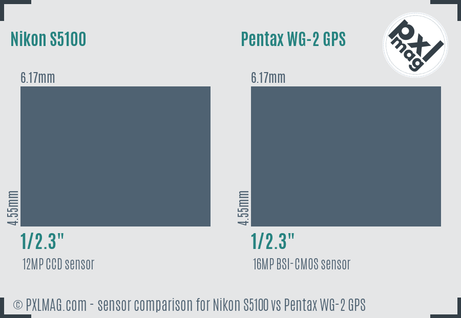 Nikon S5100 vs Pentax WG-2 GPS sensor size comparison