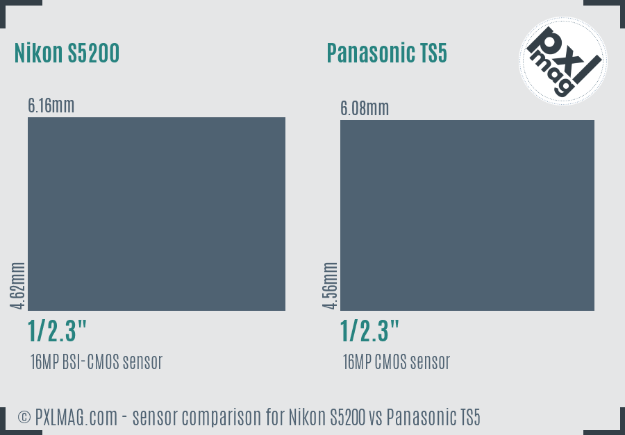 Nikon S5200 vs Panasonic TS5 sensor size comparison Nikon S5200 vs Panasonic TS5 sensor size comparison