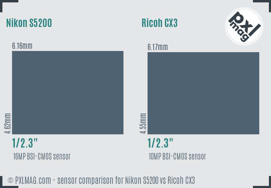 Nikon S5200 vs Ricoh CX3 sensor size comparison