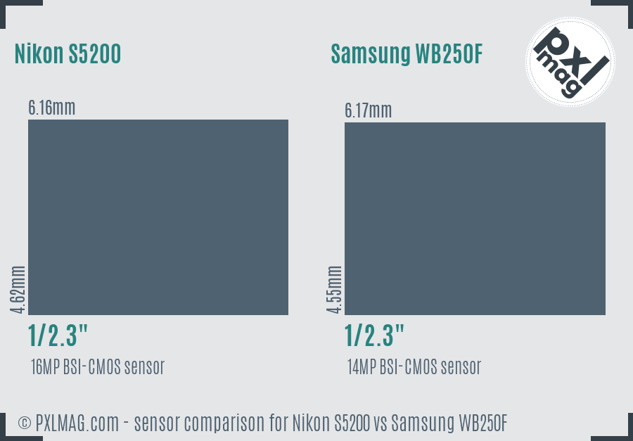 Nikon S5200 vs Samsung WB250F sensor size comparison