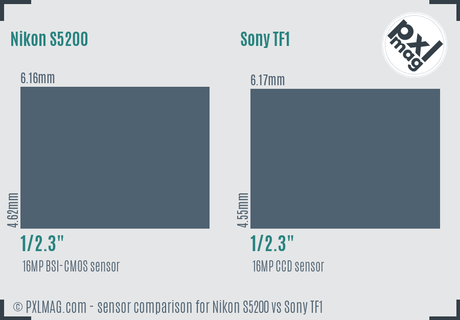 Nikon S5200 vs Sony TF1 sensor size comparison