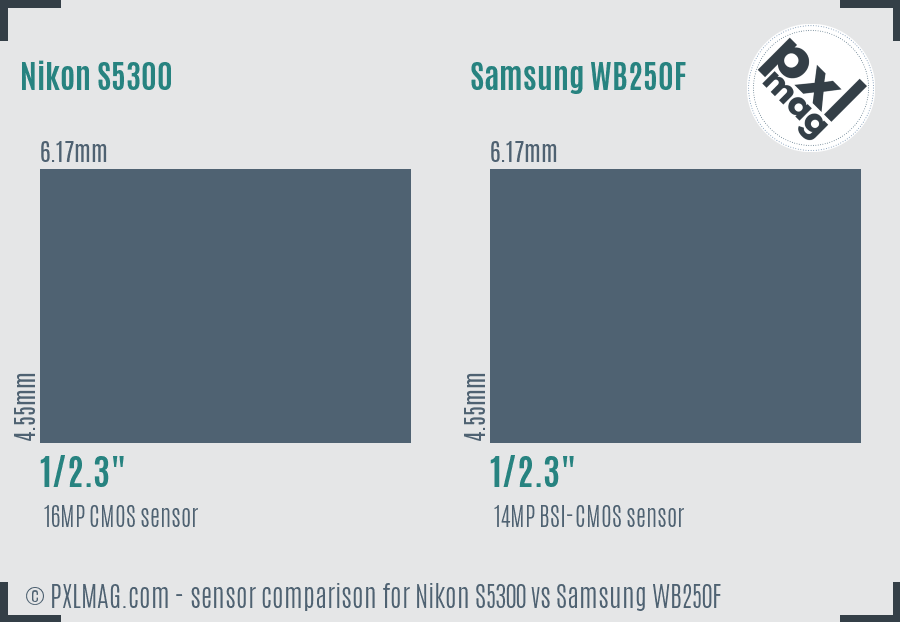 Nikon S5300 vs Samsung WB250F sensor size comparison