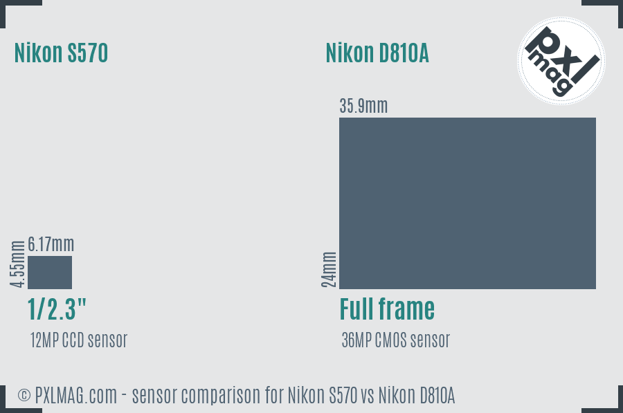 Nikon S570 vs Nikon D810A sensor size comparison