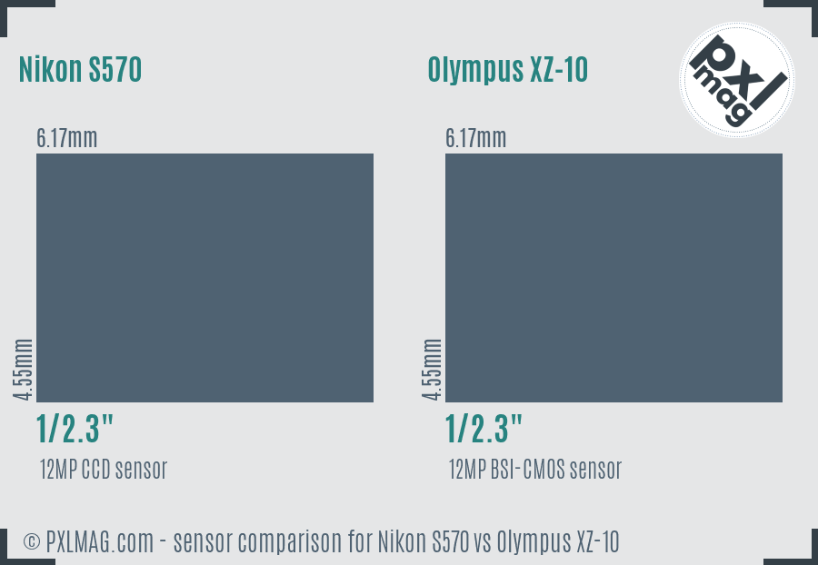 Nikon S570 vs Olympus XZ-10 sensor size comparison