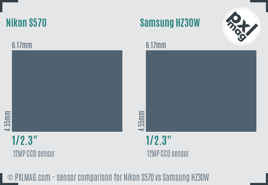 Nikon S570 vs Samsung HZ30W sensor size comparison