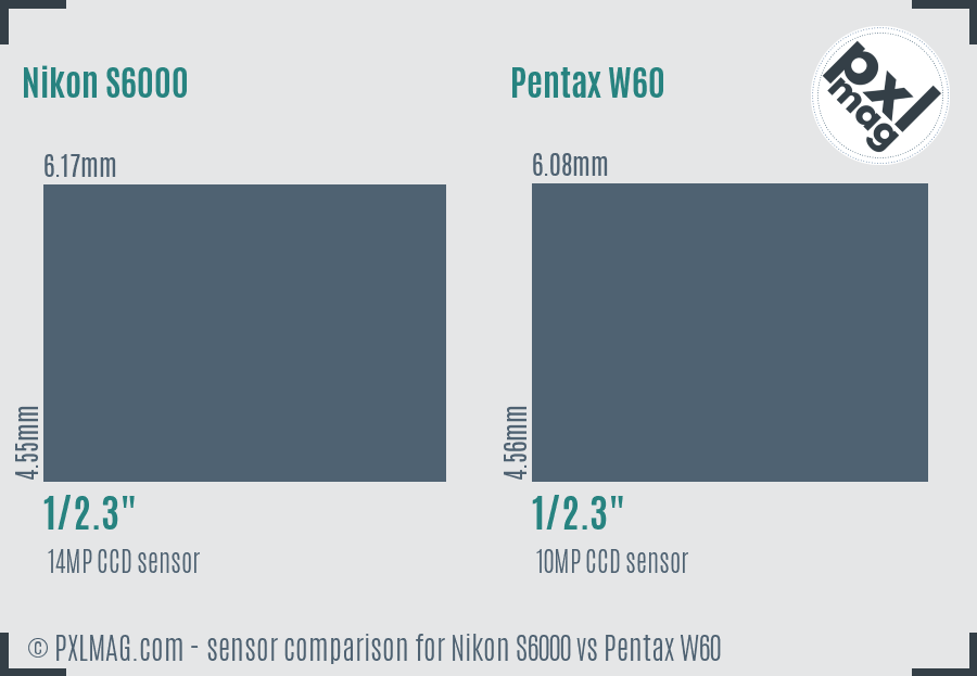 Nikon S6000 vs Pentax W60 sensor size comparison