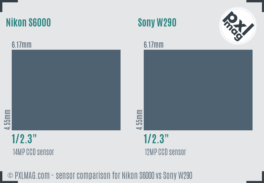 Nikon S6000 vs Sony W290 sensor size comparison