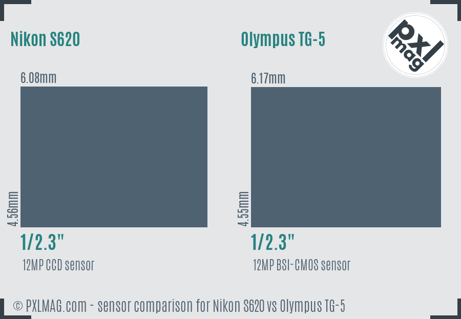 Nikon S620 vs Olympus TG-5 sensor size comparison