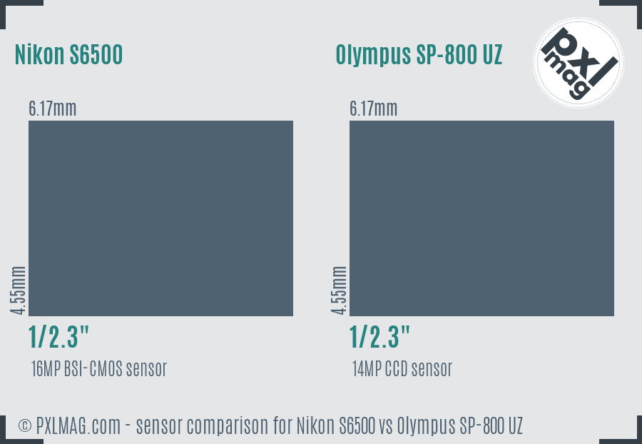 Nikon S6500 vs Olympus SP-800 UZ sensor size comparison