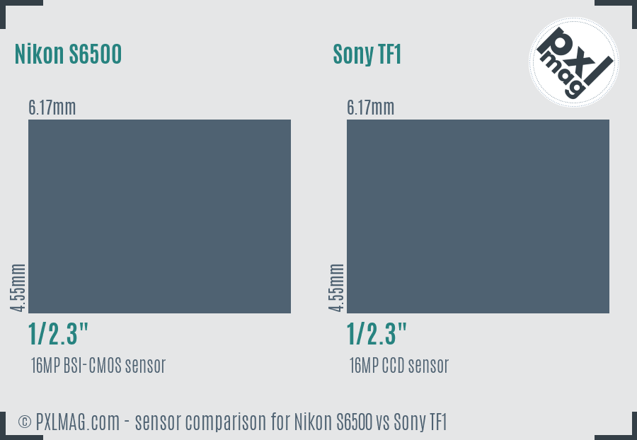 Nikon S6500 vs Sony TF1 sensor size comparison