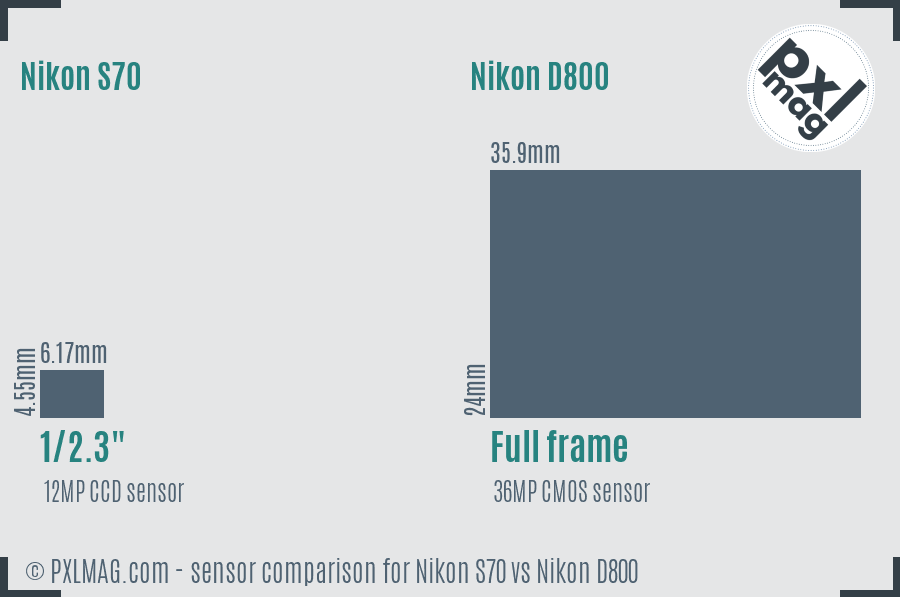 Nikon S70 vs Nikon D800 sensor size comparison