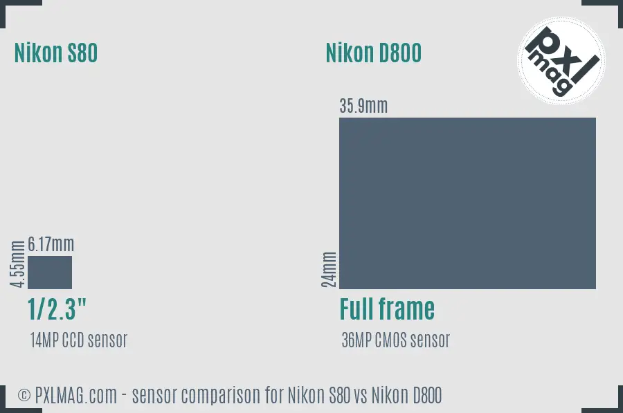 Nikon S80 vs Nikon D800 sensor size comparison