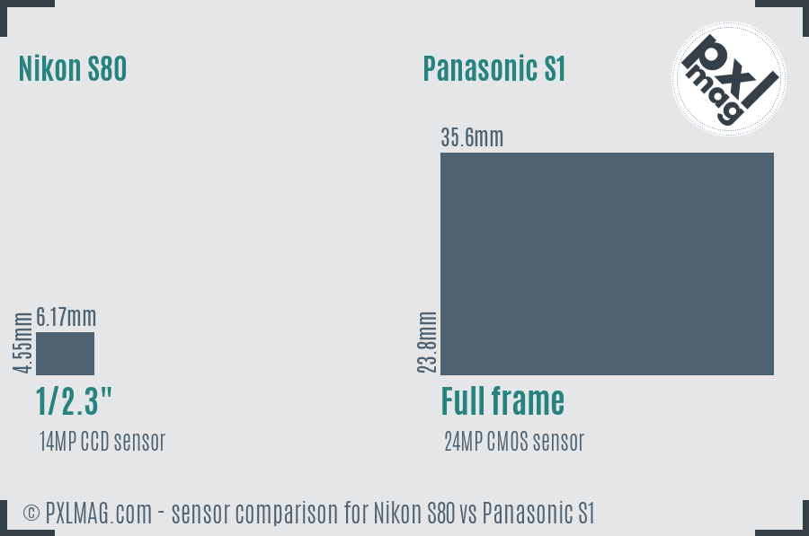Nikon S80 vs Panasonic S1 sensor size comparison