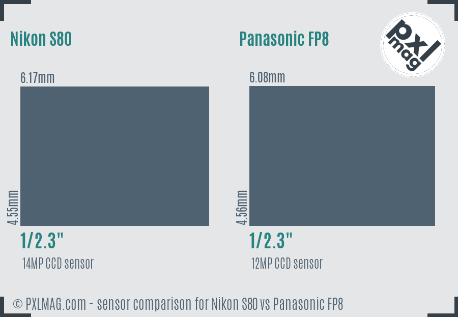 Nikon S80 vs Panasonic FP8 sensor size comparison